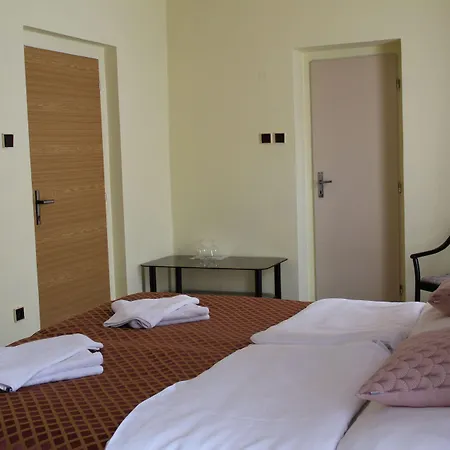 罗斯福饭店 酒店 Litoměřice