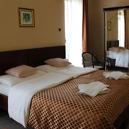 罗斯福饭店 3* Litoměřice