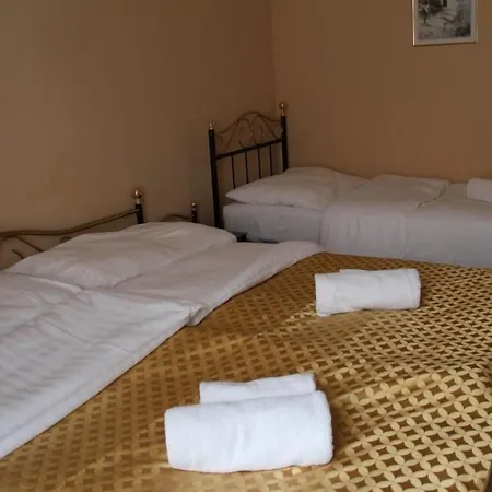 罗斯福饭店 酒店 Litoměřice