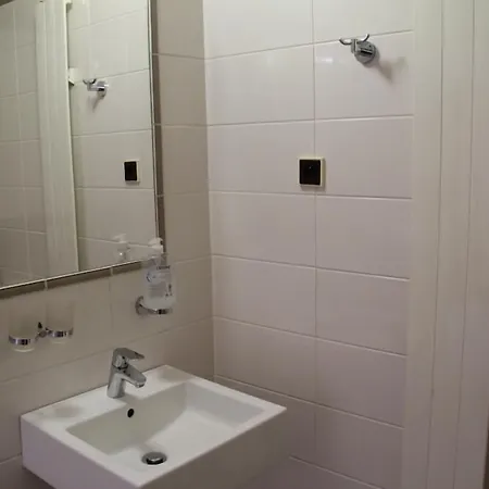 罗斯福饭店 酒店 Litoměřice