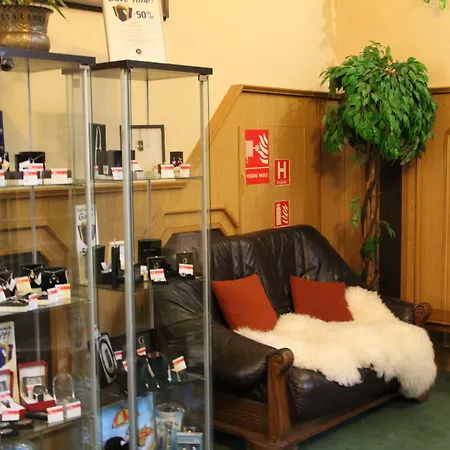 罗斯福饭店 酒店 Litoměřice