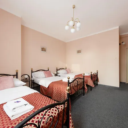 罗斯福饭店 Litoměřice